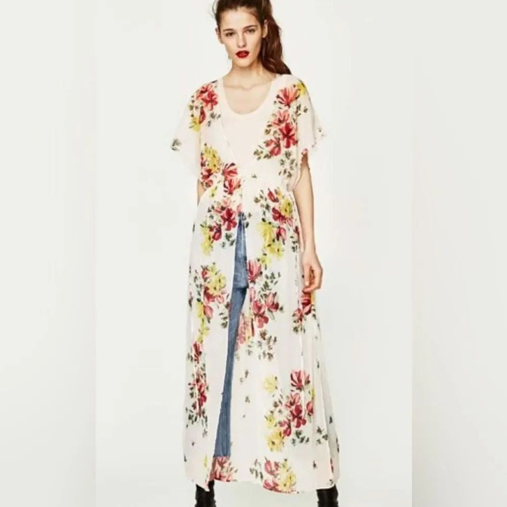 ZARA Sheer Dress or Coverup